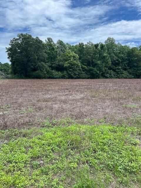 Lot B-2 Reeves Farm Rd, Saint George, SC 29477