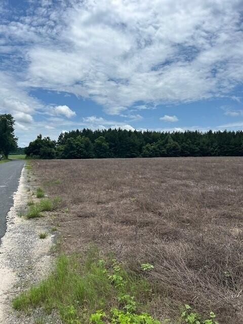 Lot B-2 Reeves Farm Rd, Saint George, SC 29477