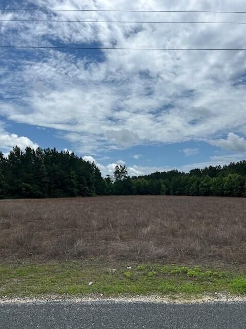 Lot B-6 Reeves Farm Rd, Saint George, SC 29477