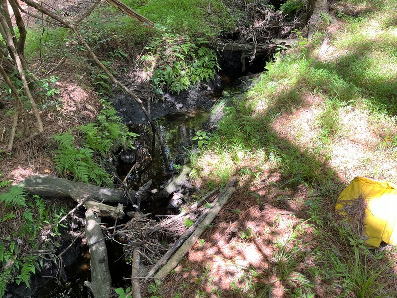 O Cobb Ct Interior Parcel, Walterboro, SC 29488