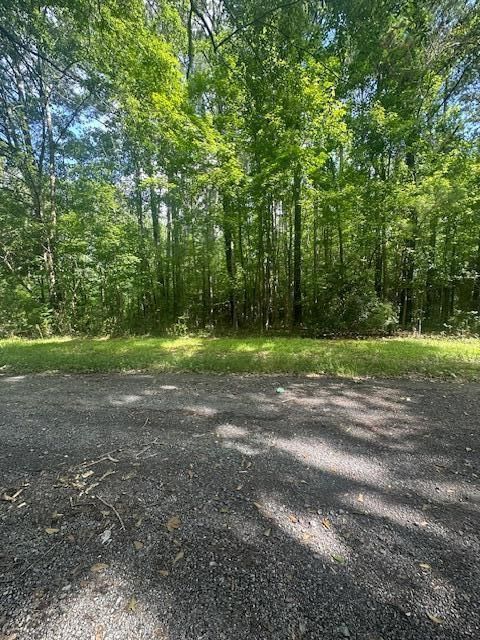0 Duberry Ln, Ridgeville, SC 29472