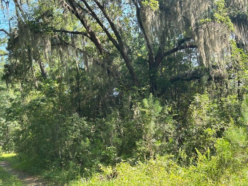 5856 Martin St Lot 4, Ravenel, SC 29470