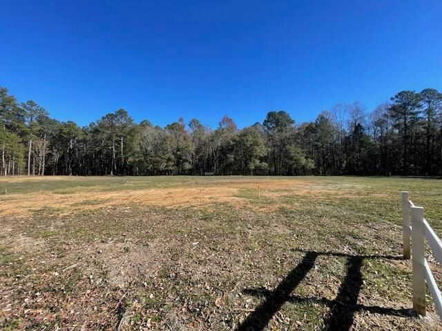 369 Fish Road Estates Ln, Ridgeville, SC 29472
