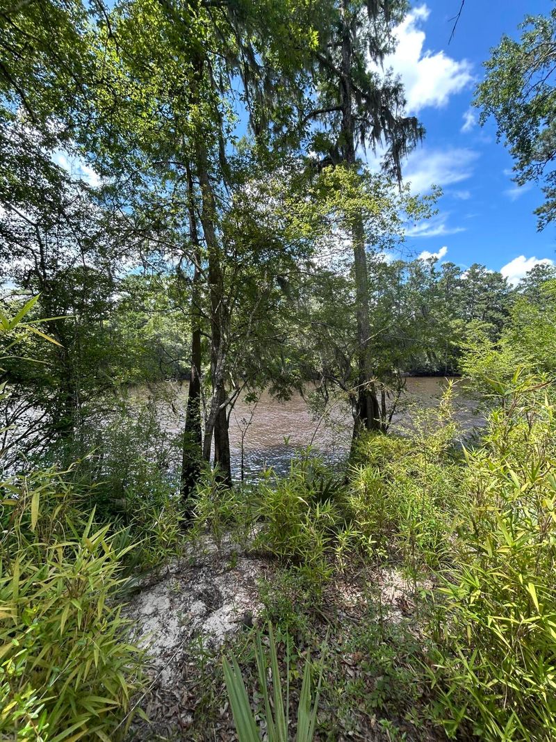 00 Shad Ln, Ridgeville, SC 29472