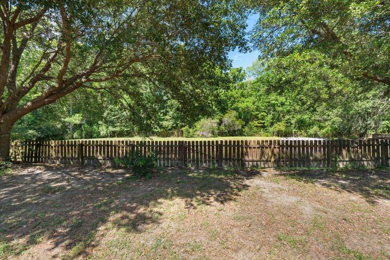1239 White Tail Pa, Charleston, SC 29414