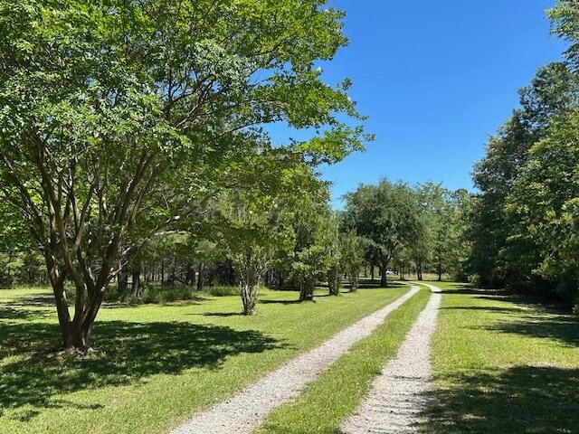 1054 Gum Branch Rd, Saint George, SC 29477