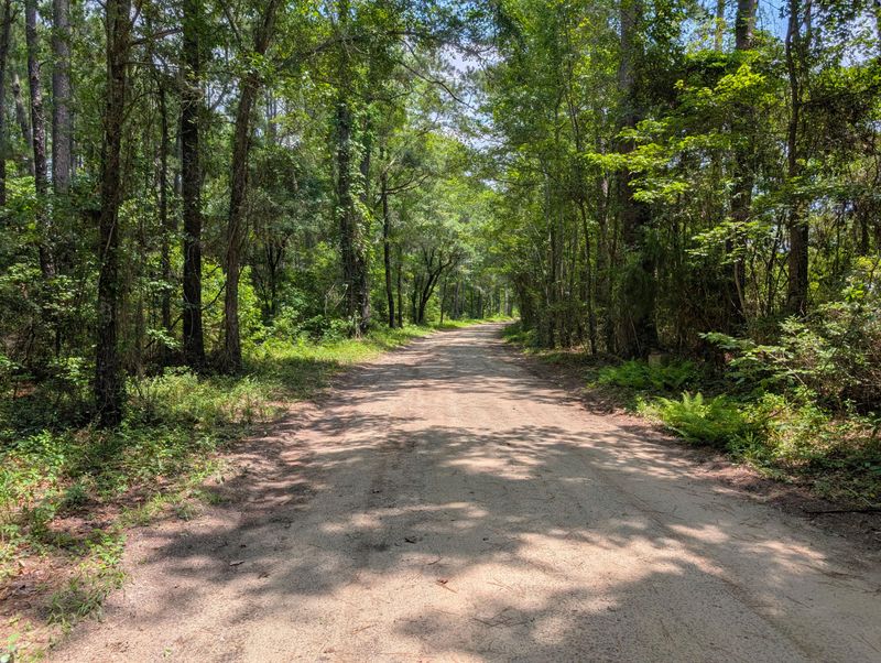 1871 Bellfield Rd, Mcclellanville, SC 29458