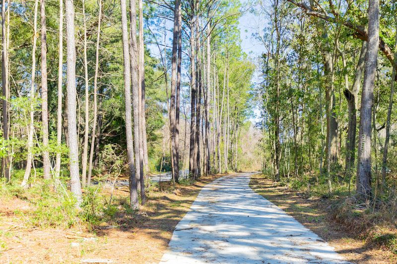 1515 John Fenwick Ln, Johns Island, SC 29455