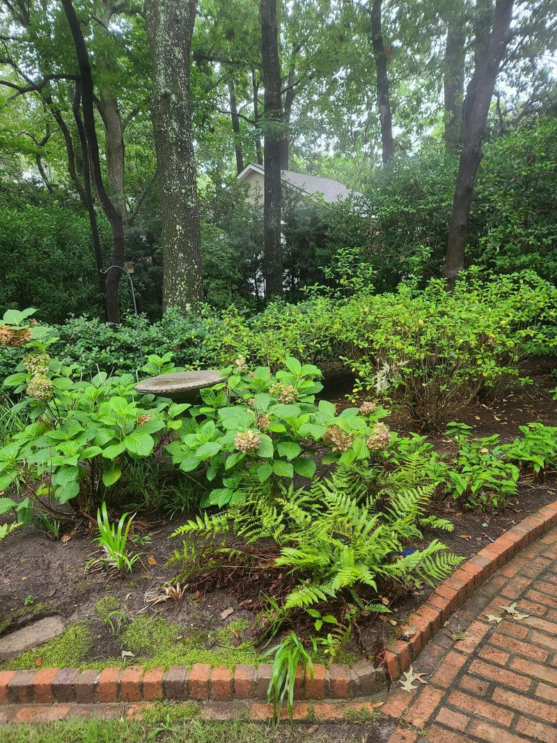 2248 Portside Way, Charleston, SC 29407