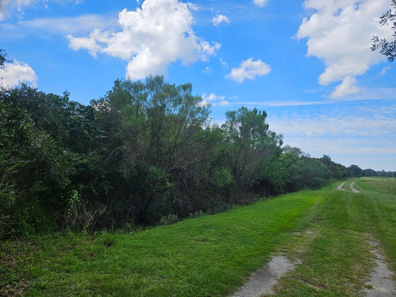 0 Jenkins Farm Rd, Johns Island, SC 29455