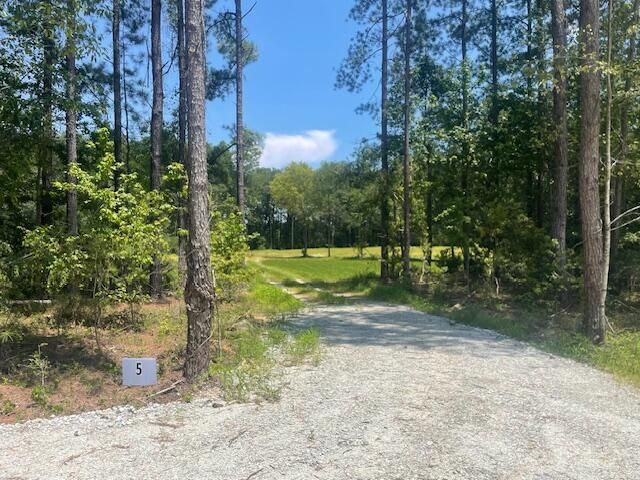5 Grooms Rd, Cross, SC 29436