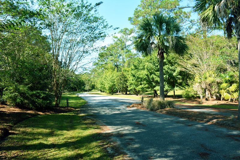 61 Osprey Rd, Edisto Island, SC 29438