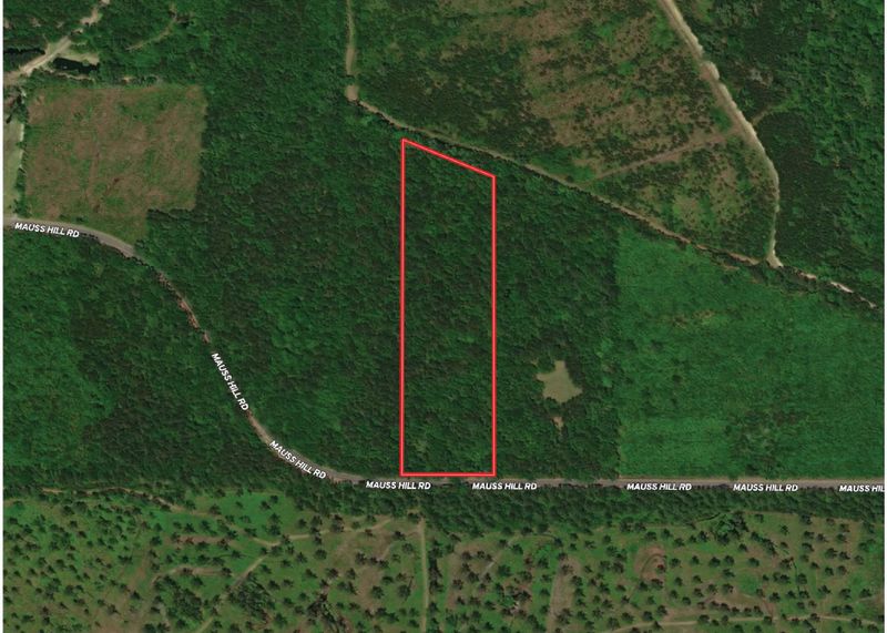 5522 Mauss Hill Rd, Adams Run, SC 29426
