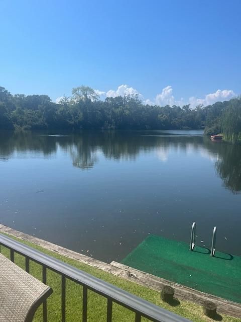 1646 Baldock Ct, Mount Pleasant, SC 29464