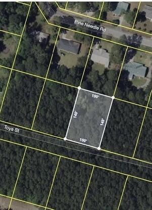 141 Toya St, Walterboro, SC 29488