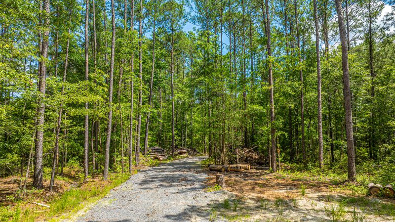 6774 Spring Grove Rd, Adams Run, SC 29426