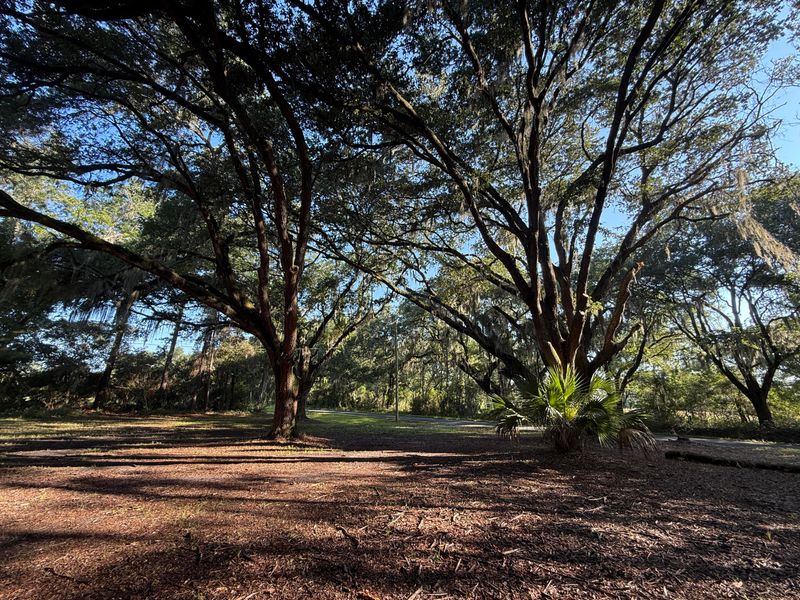7939 Legare Rd, Edisto Island, SC 29438