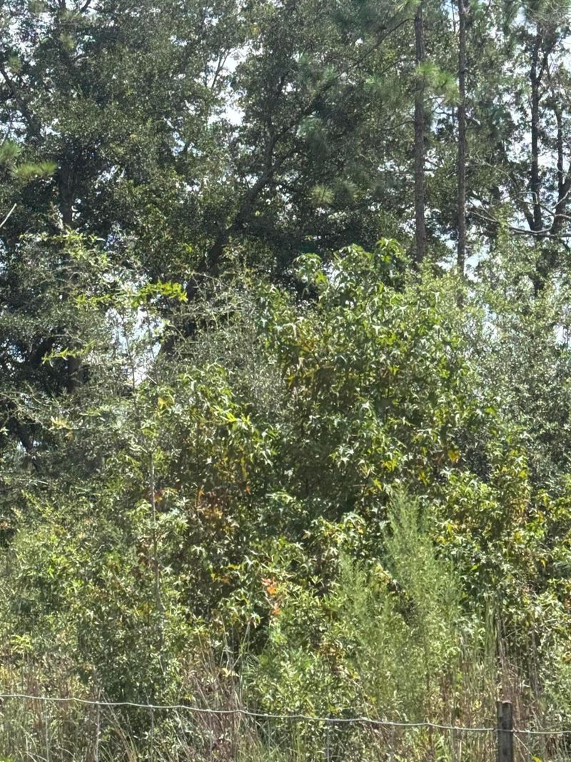 0000 Sandridge Rd, Dorchester, SC 29437