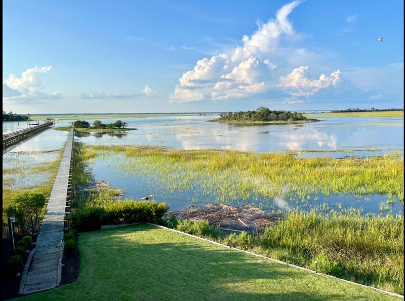 14 Waterway Island Dr, Isle Of Palms, SC 29451