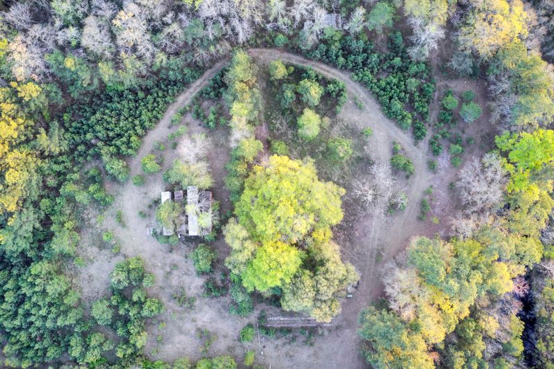 1945 Fish Rd, Ridgeville, SC 29472