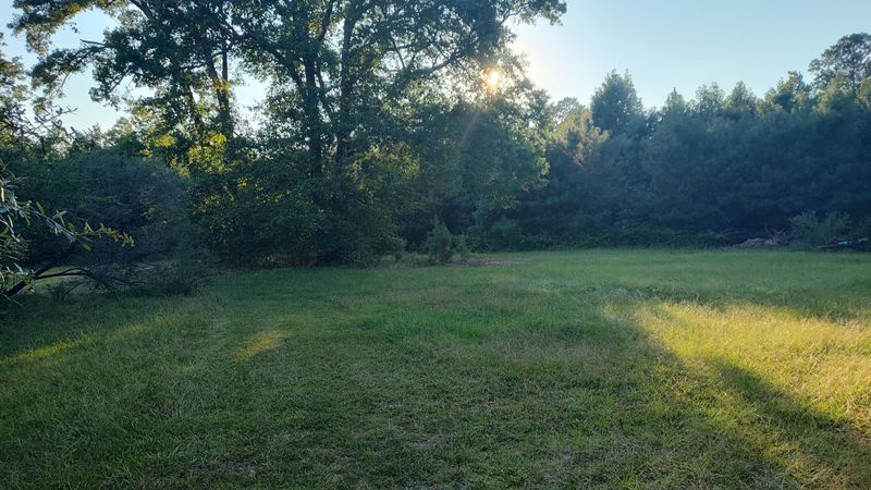 00 Davis Ter, Saint George, SC 29477
