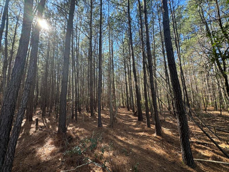 0 Countryside Way, Summerville, SC 29483