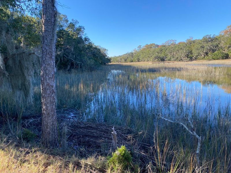 6444 St Anthony Dr, Yonges Island, SC 29449