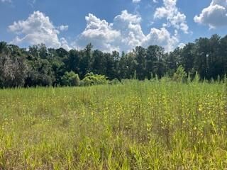 1 Wolffs Lair Rd, Charleston, SC 29414