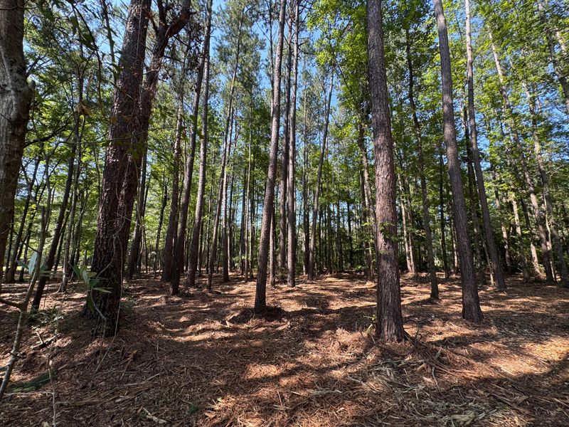 0 Fish Rd #4 & 5, Ridgeville, SC 29472