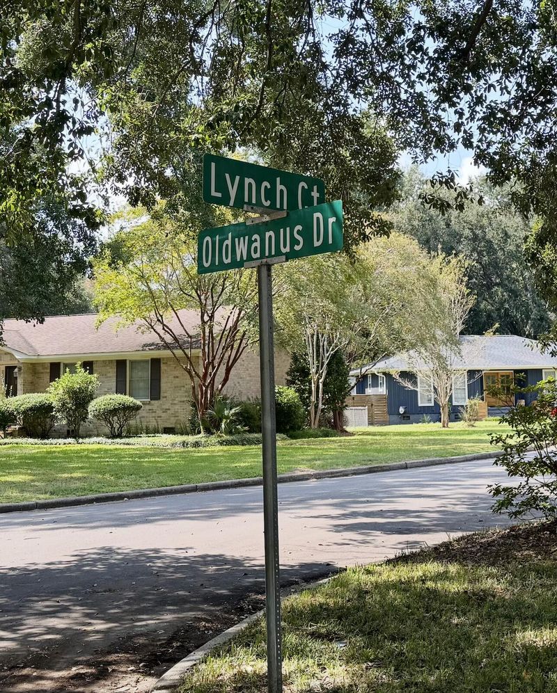 1266 Oldwanus Dr, Mount Pleasant, SC 29464