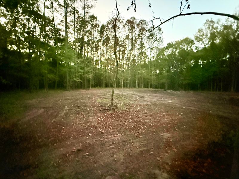 193 Melrose Pl, Moncks Corner, SC 29461