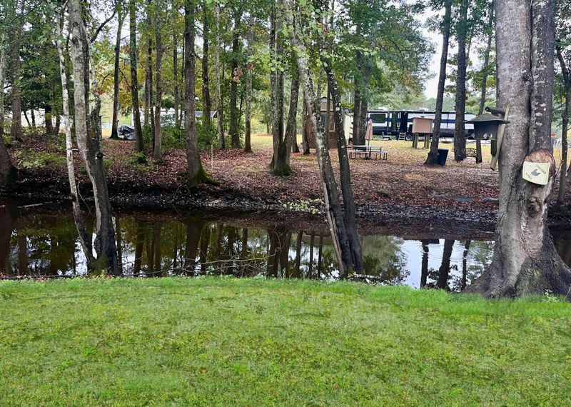 0 Catfish Ct, Ridgeville, SC 29472