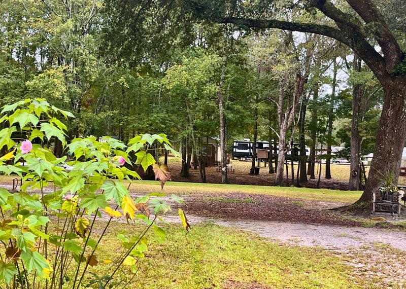 0 Catfish Ct, Ridgeville, SC 29472