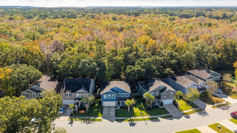 3924 Hanoverian Dr, Mount Pleasant, SC 29429