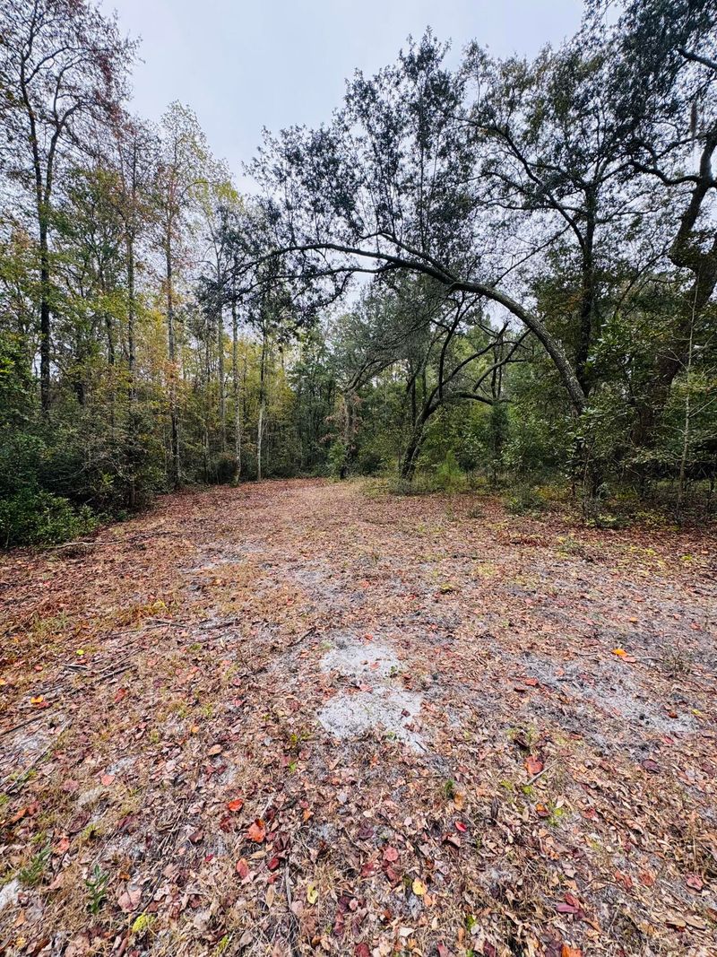 0 Fisk Rd, Dorchester, SC 29437