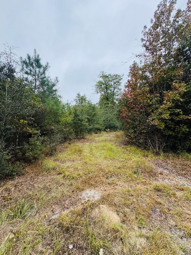 00 Fisk Rd, Dorchester, SC 29437