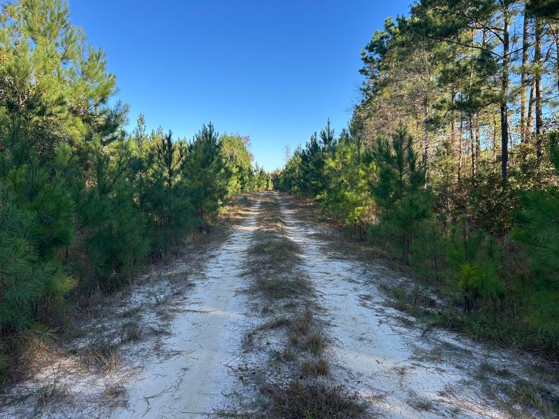 16 Hwy 311, Cross, SC 29436