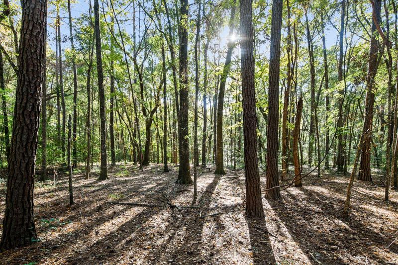 2418 Plow Ground Rd, Johns Island, SC 29455