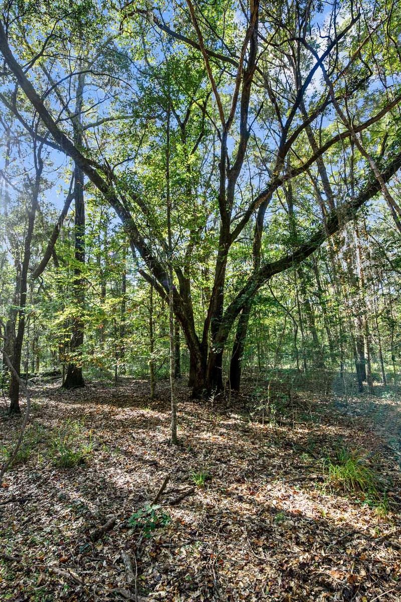 2515 Joseph Pearline Rd, Johns Island, SC 29455