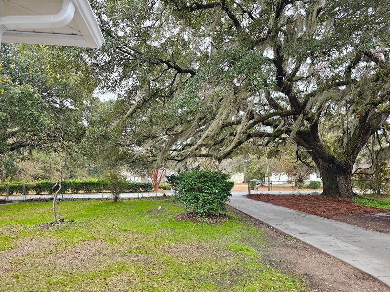 488 Society Rd, Mcclellanville, SC 29458