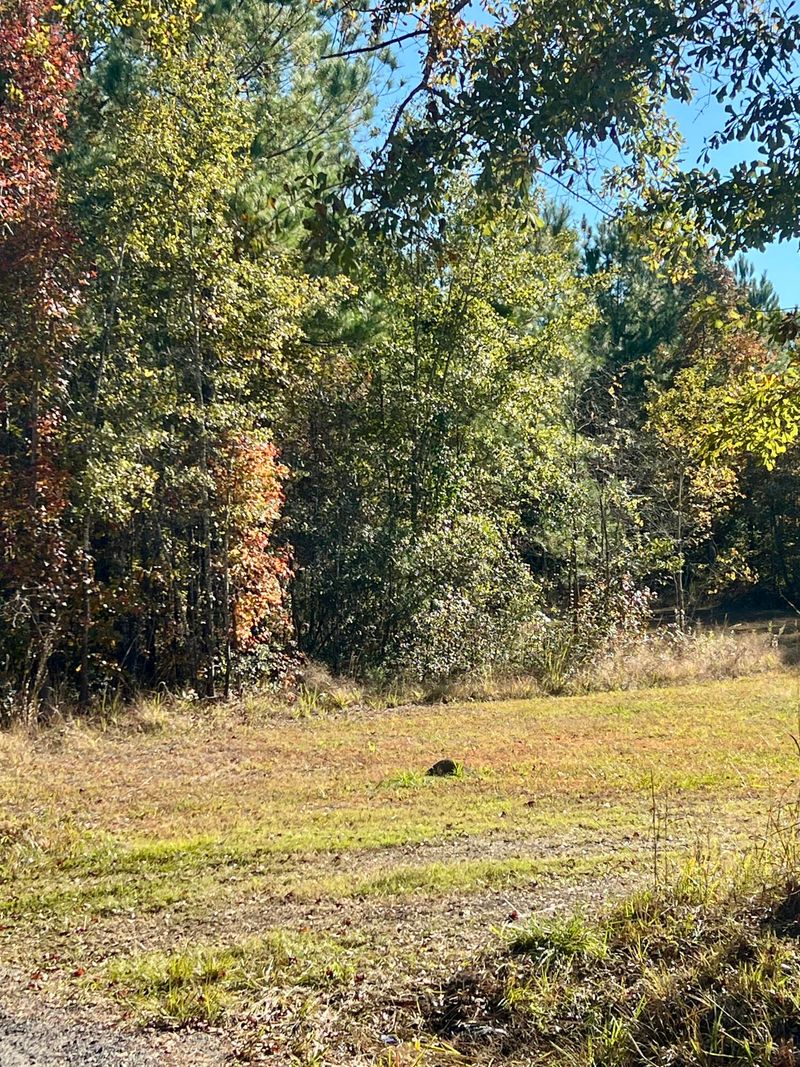 00 Saint Julian Dr, Cross, SC 29436