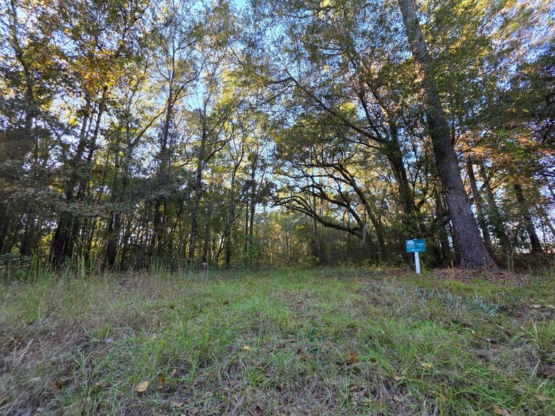 8750 Old Georgetown Rd, Mcclellanville, SC 29458