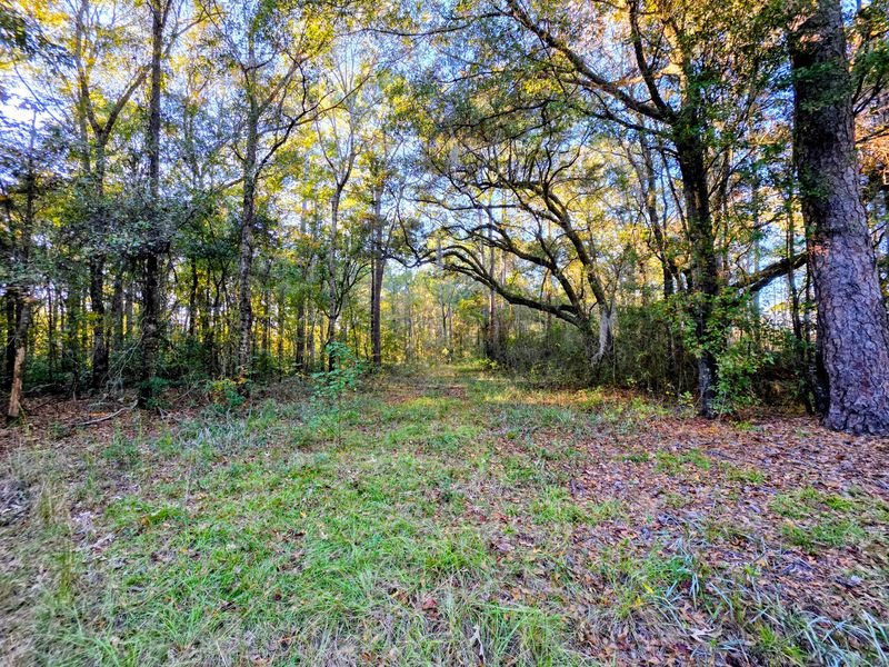 8750 Old Georgetown Rd, Mcclellanville, SC 29458