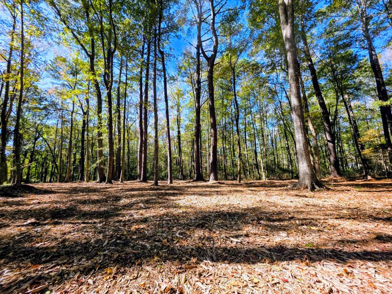 3047 Fickling Hill Rd #C-1, Johns Island, SC 29455