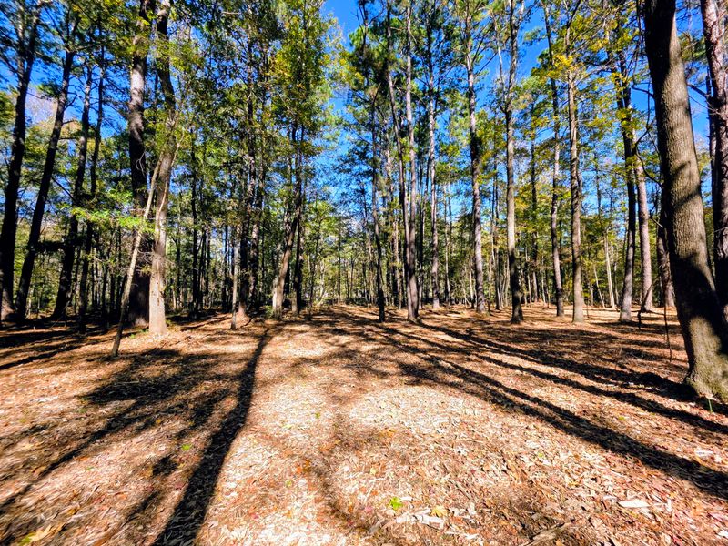 3047 Fickling Hill Rd #C-1, Johns Island, SC 29455
