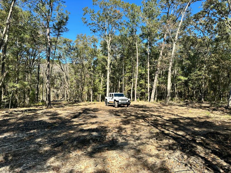 3675 Chisolm Rd, Johns Island, SC 29455