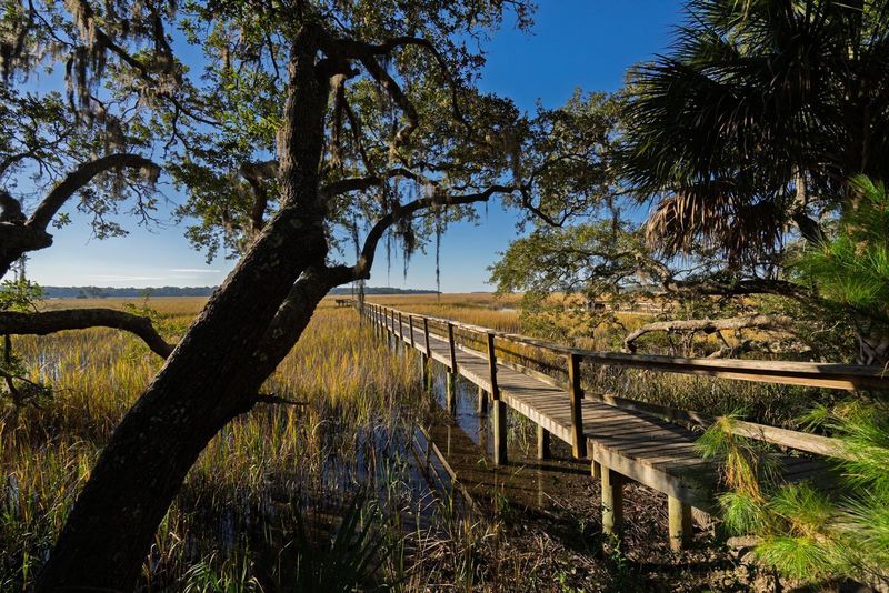 8525 Middleton Point Ln, Edisto Island, SC 29438