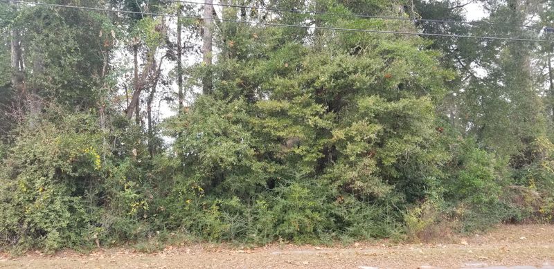 00000 N Lemacks St, Walterboro, SC 29488