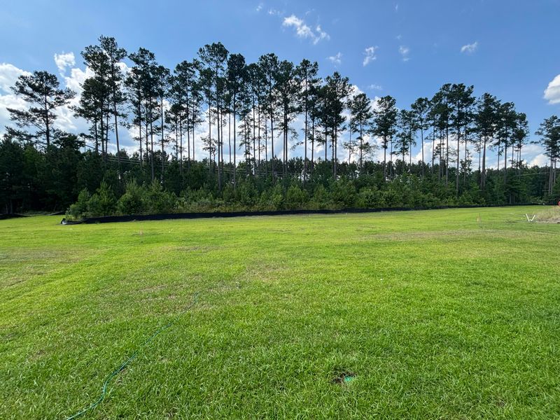 120 Sea Oats St, Summerville, SC 29485