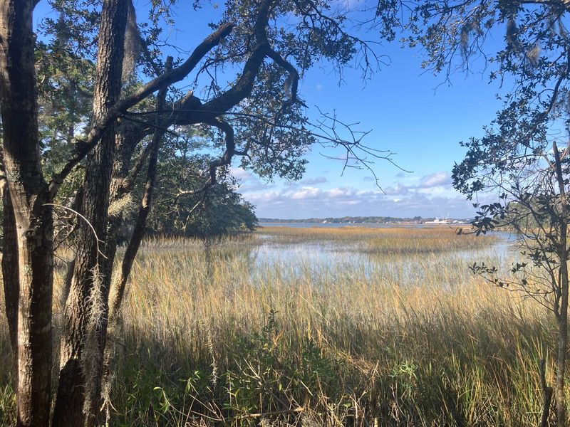 Lot 35 Josie Rg, Wadmalaw Island, SC 29487